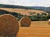 15 августа - праздник, что категорически запрещено делать, главные приметы