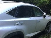 ДТП: На границе с Венгрией водитель Lexus травмировал пограничника