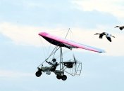 Путин станет "вожаком" журавлиного клина  