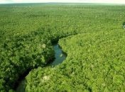 Ученые: древняя Амазония имела многомиллионное население