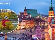 Медведь, которому изменили цвет шарфика