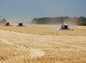 В Украине снизится урожай