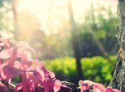 Сегодня украинцы будут изнемогать от невыносимой жары