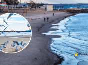 Черное море в Одессе