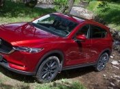 В США назвали производителя самых безопасных авто 