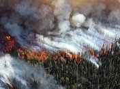 Чрезвычайная жара в Арктике может спровоцировать климатическую цепную реакцию