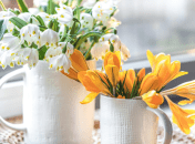 Какой сегодня праздник 17 мая 2025 года — День памяти апостолов Андроника и Юнию