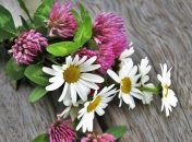 10 июля - праздник, что категорически запрещено делать, главные приметы