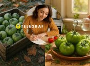 Зелені томати можуть знову почервоніти