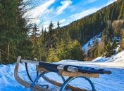 Собирают череп по кусочкам: катание на санках обернулось трагедией в Харькове