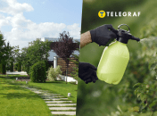 Вже час займатись присадибною ділянкою