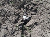 Обстрелы на Донбассе: боевики запустили по Павлополю неуправляемые авиационные ракеты