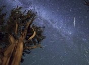 В августе жители Земли смогут наблюдать звездопад Персеид