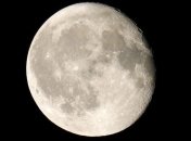 Компания SpaceX определила туриста, который полетит к Луне