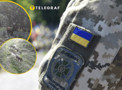 На камеру потрапили різноманітні тварини