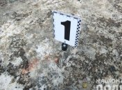 Отрезанной головой разбил несколько машин: всплыли неожиданные детали двойного убийства в Одессе