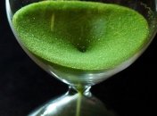 Знаменательные события в истории: 21 января 2017 года