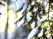 Прогноз погоды в Украине на сегодня: будет солнечно и без осадков