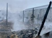 При пожаре в Подмосковье погибли восемь граждан Вьетнама 