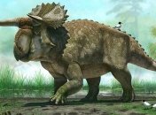 Обнаружили новый вид рогатого динозавра 