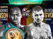 Гвоздик - Стивенсон: прогноз букмекеров на чемпионский бой