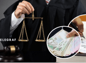 Декларация судьи Гончаровой Алины