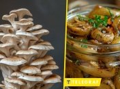 Мариновані гливи стануть чудовою закускою для вашого столу  (зображення створено за допомогою ШІ)