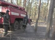На Житомирщине продолжается тушение пожаров: в ГСЧС дали отчет о ситуации