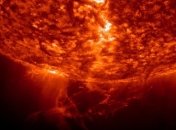 Ученые назвали будущего посредника в общении с инопланетянами