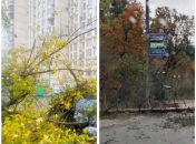 В Киеве продолжается деревопад