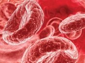 Как повысить гемоглобин: простые способы