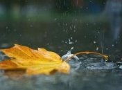 Прогноз погоды на 28 сентября: похолодает и пройдут дожди 