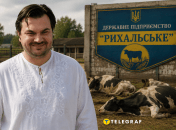Сомнительную активность оценили не все