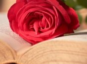 Роман Стивена Кинга экранизуют 