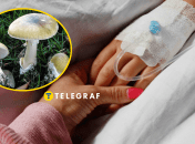 Отравление грибами в Тернопольской области