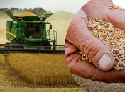 Поздняя жатва