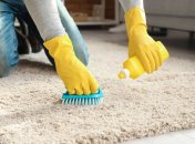 Чистка ковра