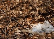 Мінекології займається розробкою закону про заборону пластикових пакетів