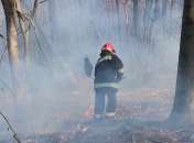 Пожары в Житомирской области и Чернобыльской зоне локализовали