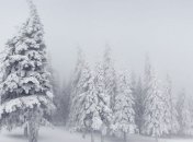 Прогноз погоды на 10 января: в некоторых регионах - снег