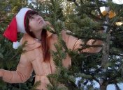 Ученые обнаружили тысячи насекомых в новогодних елках