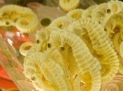 Попытка контрабандистов продать ценный груз в Азию провалилась