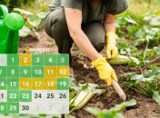 Самые благоприятные дни для посева овощей в апреле