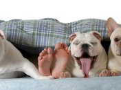 9 января 2016, примета дня. Даешь домоседство!