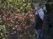 Врач-инфекционист: "жить полноценной жизнью" после послабления карантина не получится