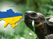 Настоящие долгожители могут жить более 70-100 лет