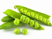 Ученые утвердают, что соя делает женщин бесплодными