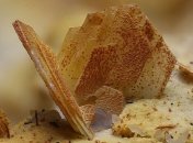 На поверхности Марса обнаружен "земной" минерал 