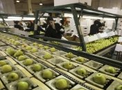 Какой фрукт предотвратит сердечно-сосудистые заболевания?