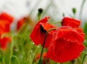 В Україну йде похолодання: кому особливо не пощастить з погодою